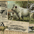 Mince Pies