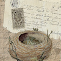 Nest Eggs
