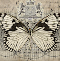The White Butterfly